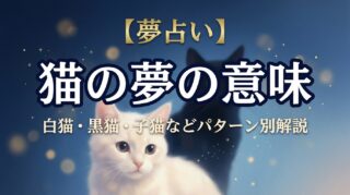 【夢占い】猫の夢の意味｜白猫・黒猫・子猫などパターン別解説